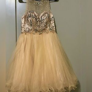 Champagne colored ballerina dress